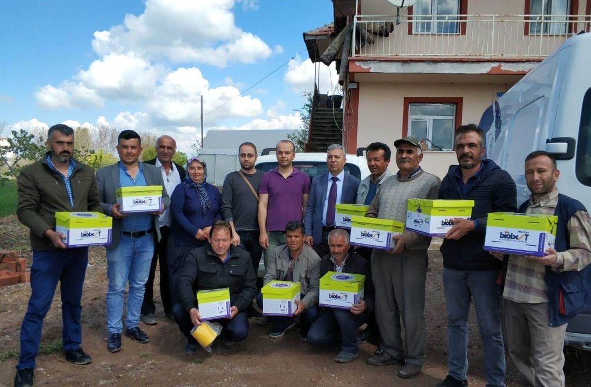 Beyşehir\'de Seralarda Yararlı Böcek ve Arıyla Domates Üretimi