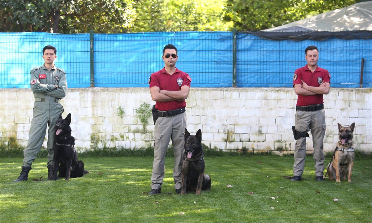 Black, Dano ve Pala" Turizm Kentinin Hizmetinde
