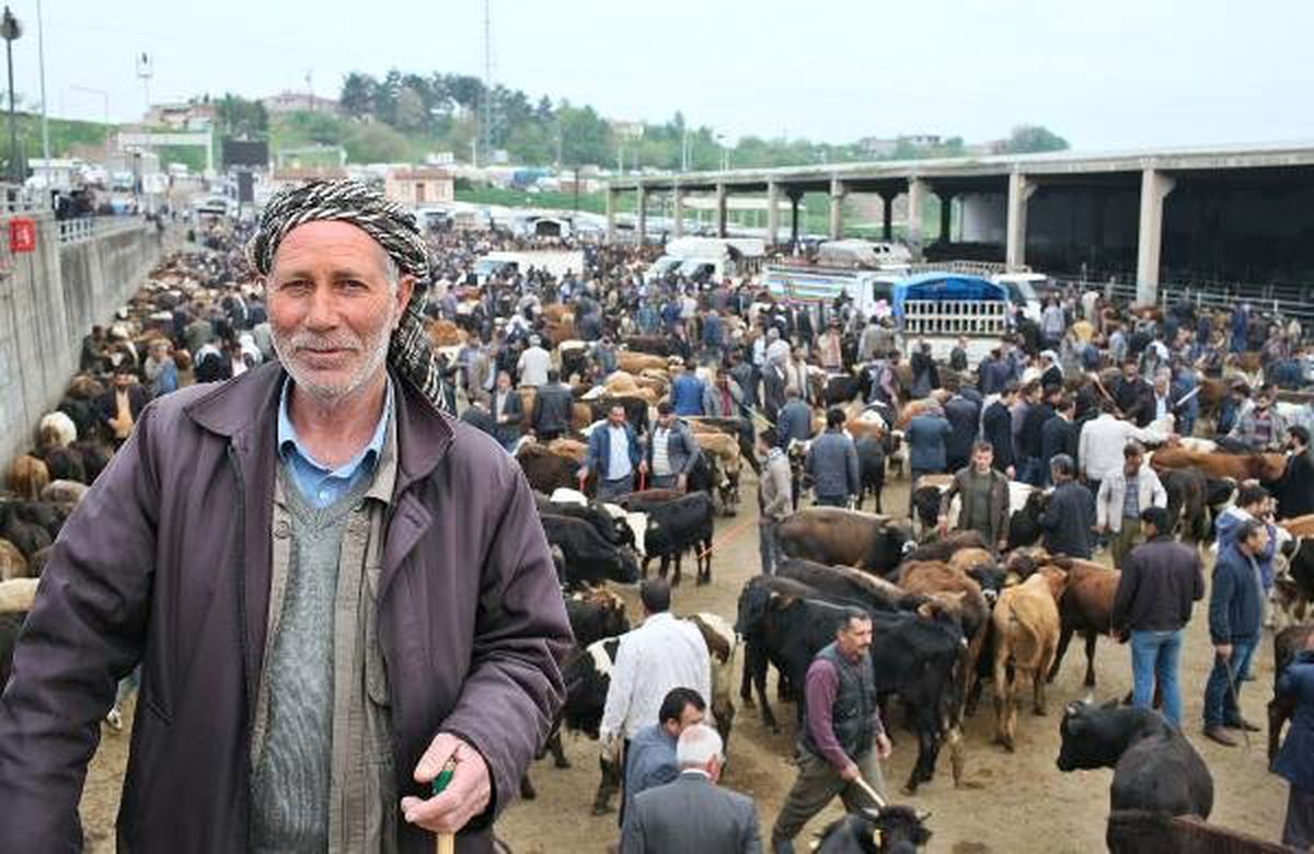 Hayvan Borsasında Ramazan Hareketliliği