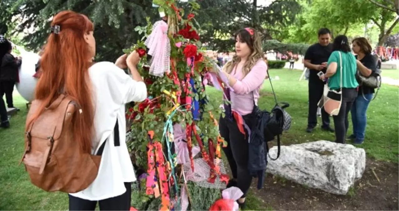 Hıdırellez Bayramı Nedir ve Neden Kutlanır? Hıdırellez\'de Neler Yapılır?