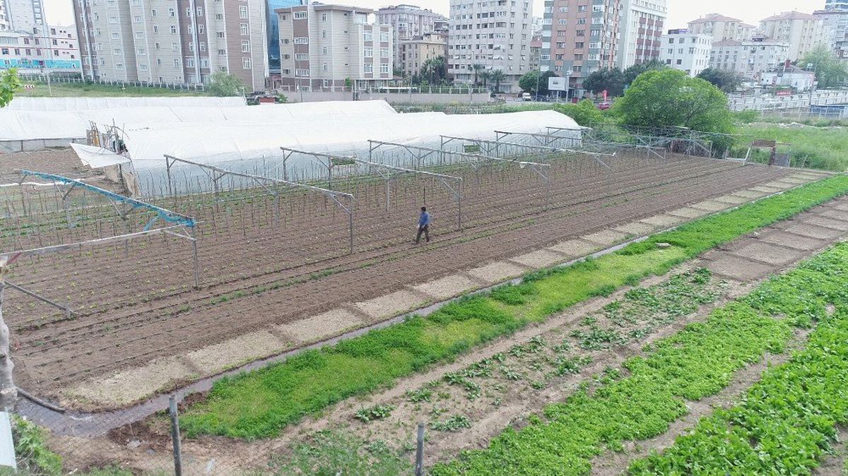 İstanbul\'un Göbeğinde, Devasa Binaların Gölgesindeki Seralar Havadan Görüntülendi