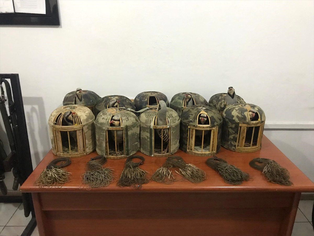 Kaçak Keklik Avlayanlara 16 Bin 756 Lira Ceza