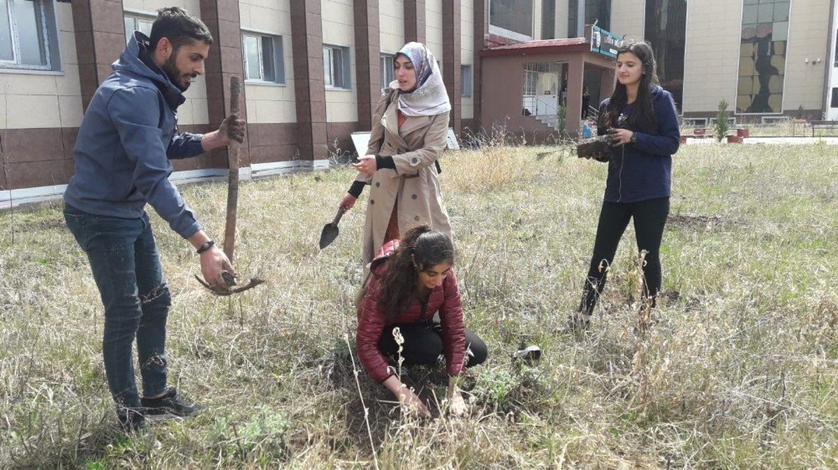 Kafkas Üniversitesi Öğrencileri Fidan Dikti