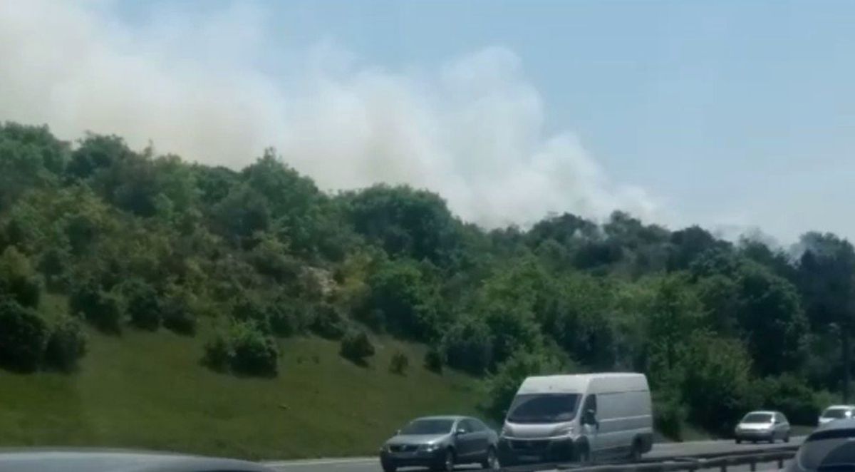 Kavacık\'ta Ormanlık Alanda Yangın Paniği