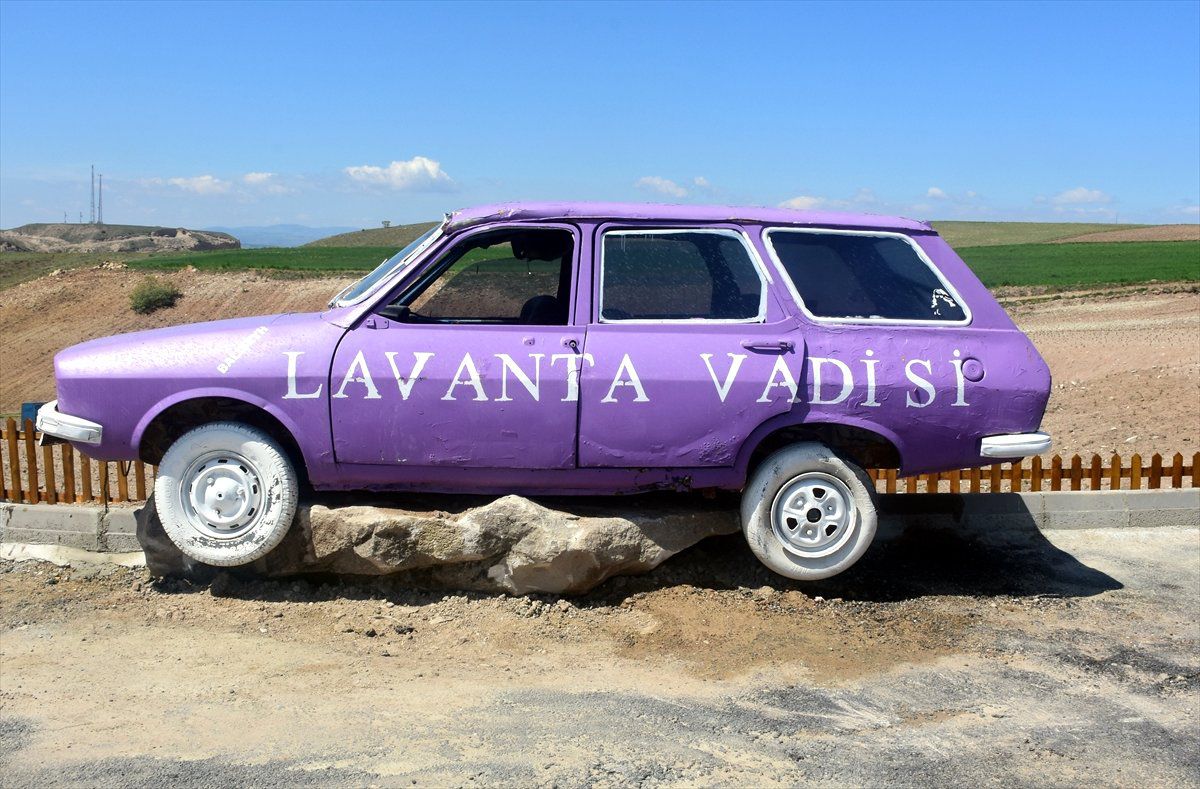 Kırıkkale\'de Lavanta Vadisi Açıldı
