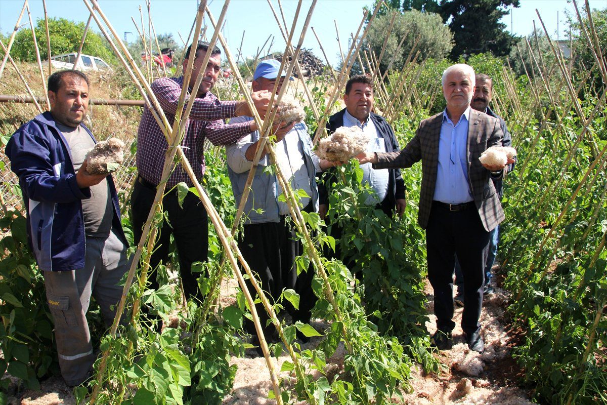 Mersin\'de Dolu Tarım Alanlarına Zarar Verdi