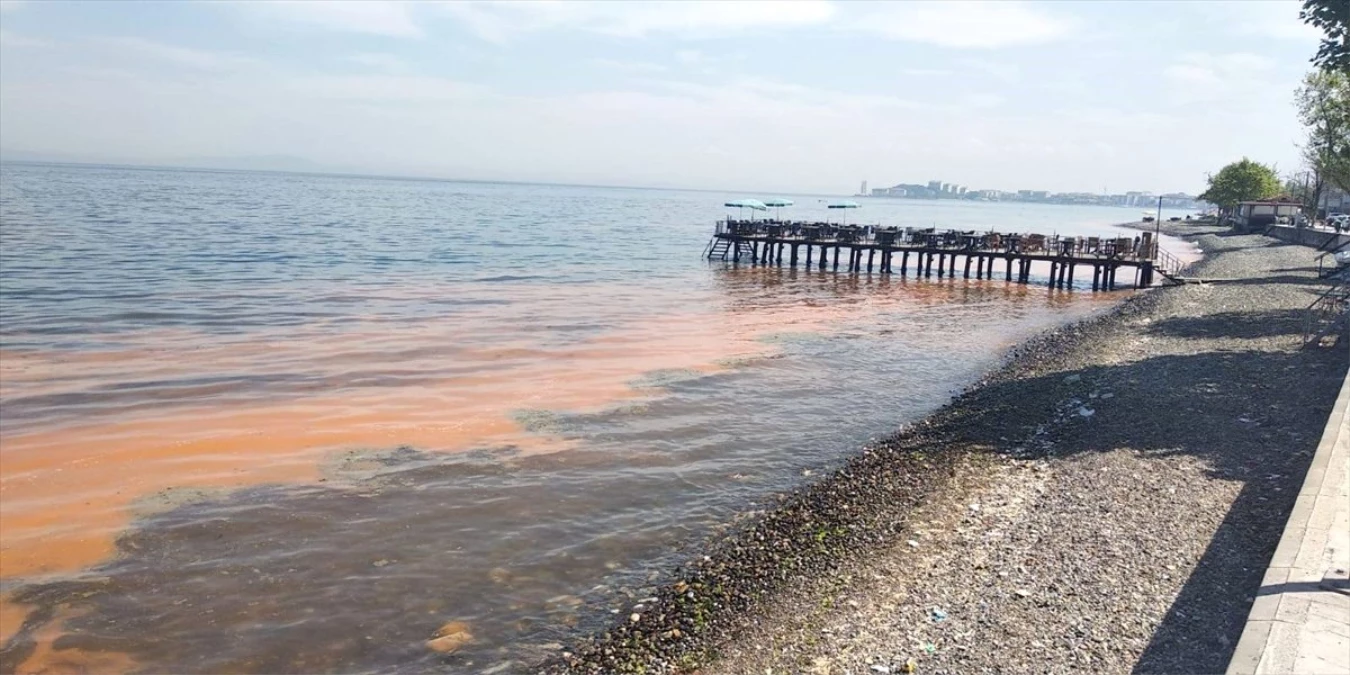 Planktonların Çoğalmasıyla Çınarcık\'ta Deniz Turuncuya Büründü