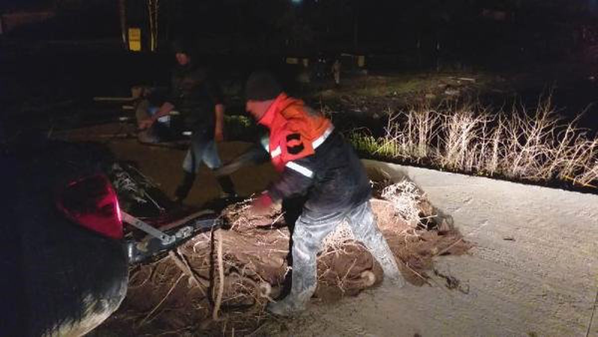 Van Gölü\'nde Kaçak Avlanılan 500 Kilogram İnci Kefali ile 350 Metre Ağ Bulundu