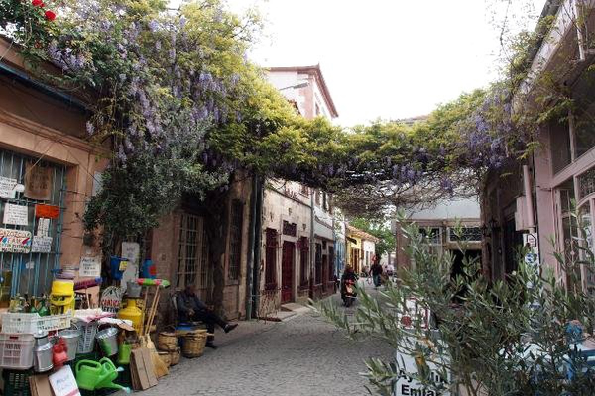 Ayvalık\'ta Mor Salkım Güzelliği