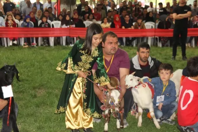 son dakika haberleri