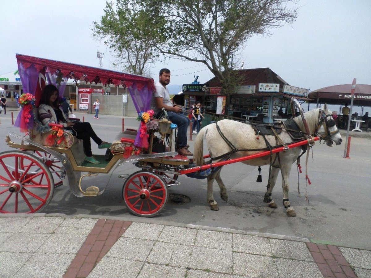 Mudanya\'da Faytoncular Sezonu Açtı