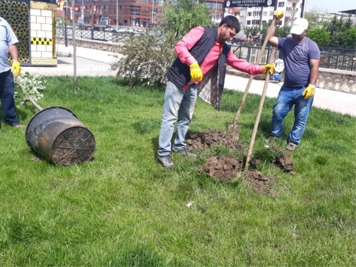 Doğu Türkistan Parkı Mis Gibi Kokacak