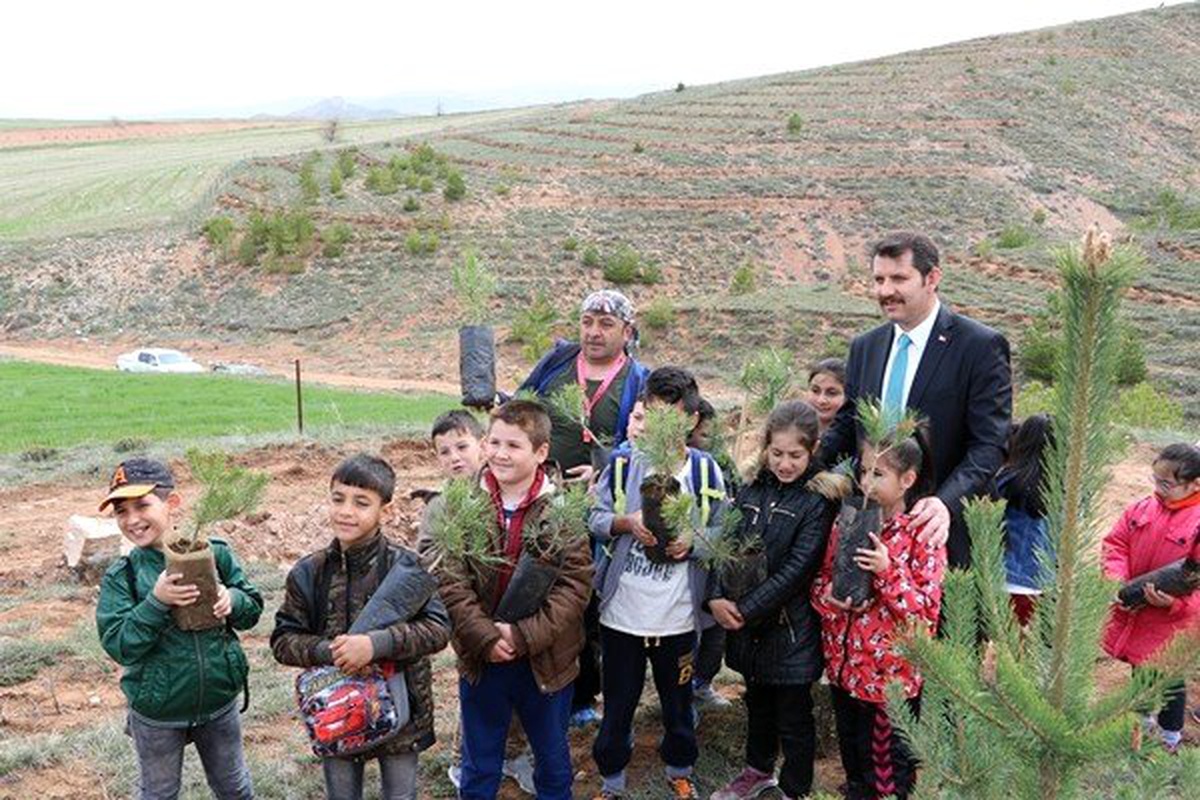 Her Mezun İçin Yeni Bir Fidan