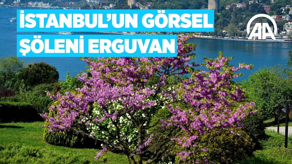 İstanbul\'un Görsel Şöleni Erguvan