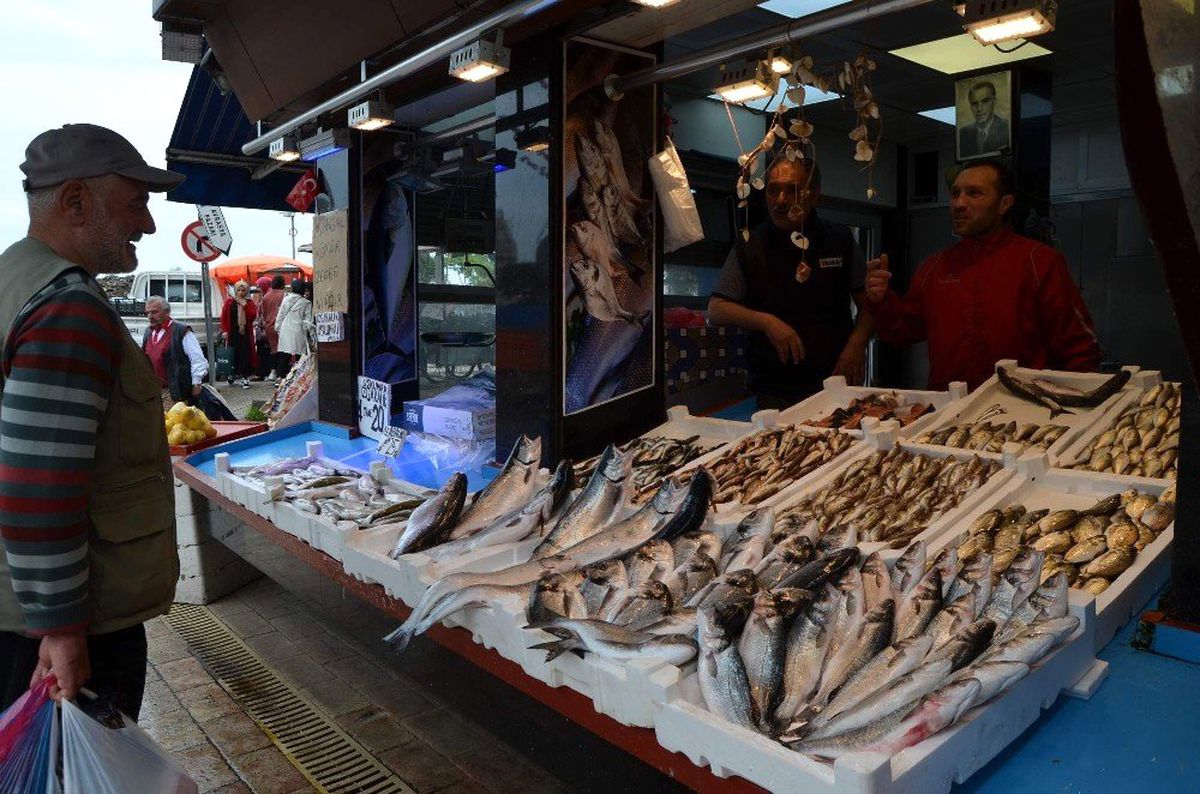 Trabzon\'da Denizden Somon Hasadı Başladı