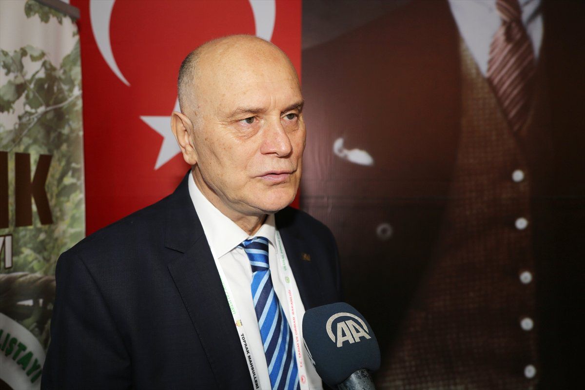 Türkiye\'den 8 Ayda 210 Bin Ton Fındık İhraç Edildi