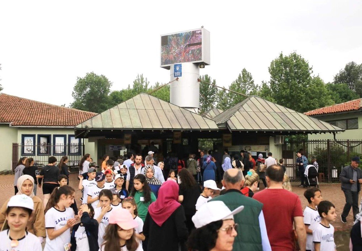 Yağmura Aldırış Etmediler, Zoopark\'a Akın Ettiler