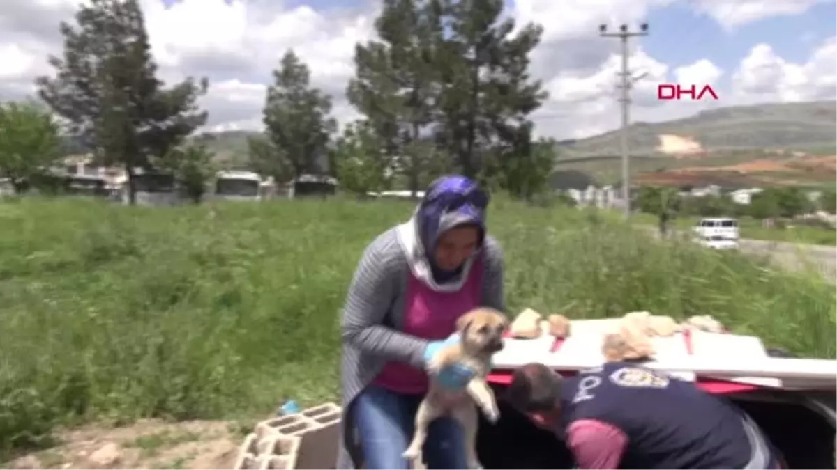 Adıyaman Polis Memuru, Uygulama Noktasında 6 Yavru Köpeğe Bakıyor