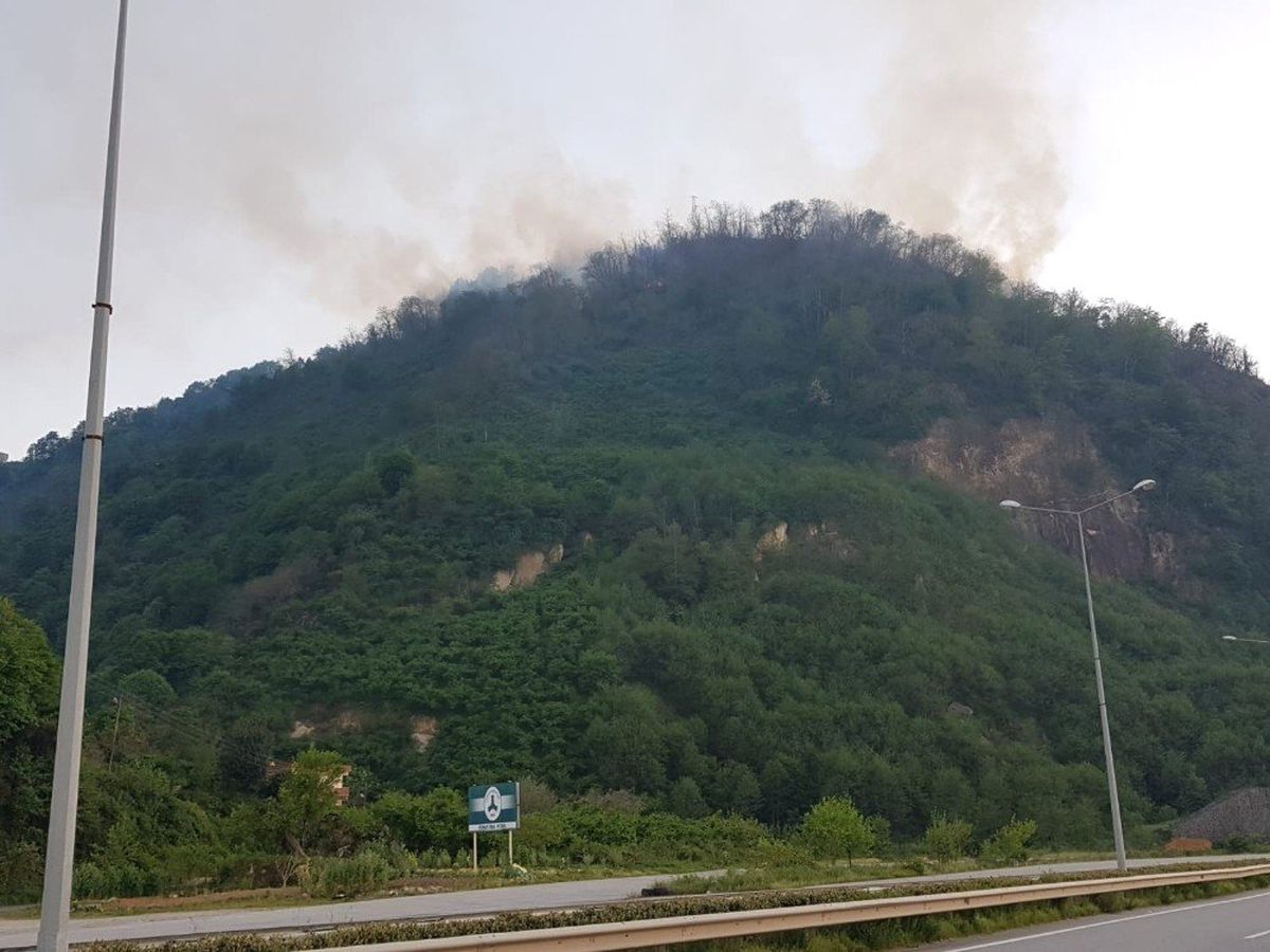 Ardeşen\'de Orman Yangını