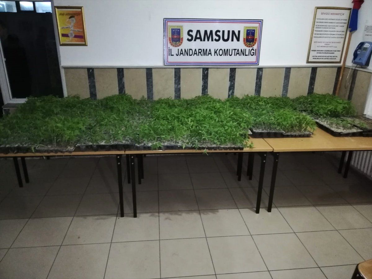 Samsun\'da Uyuşturucu Operasyonu