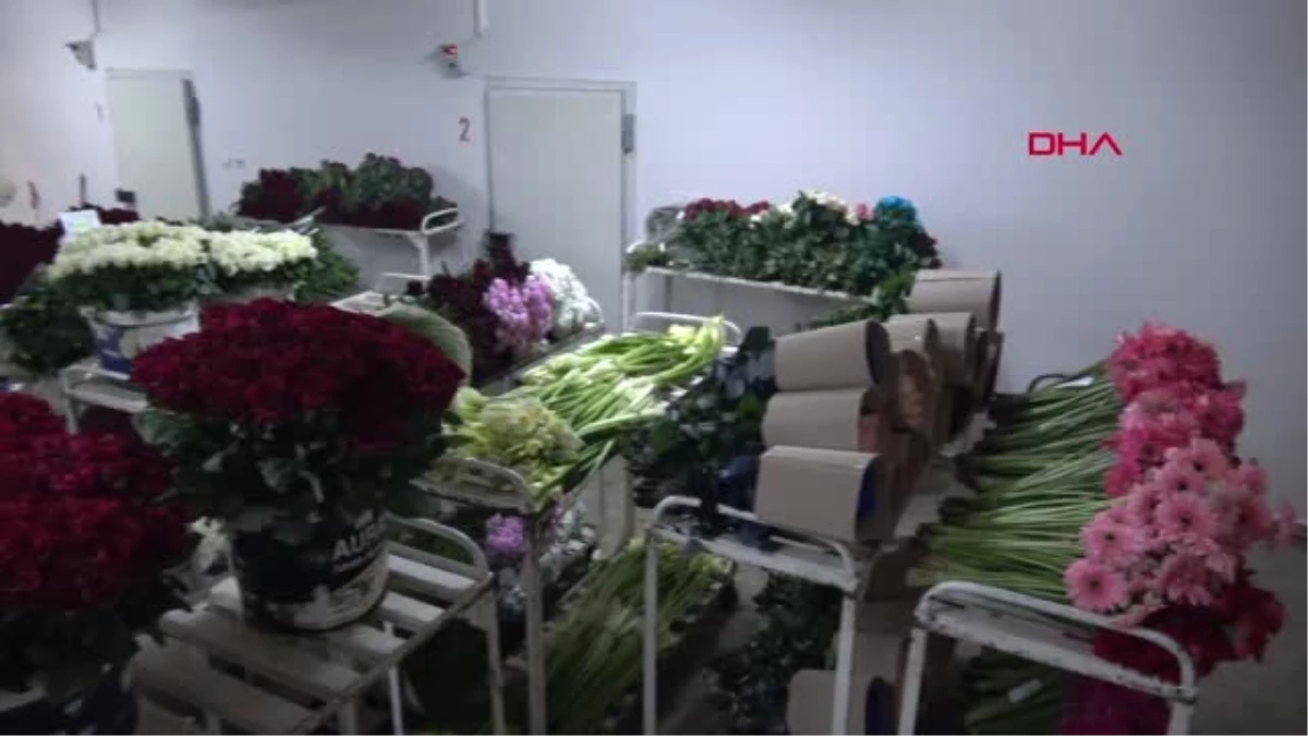 Yalova\'da Anneler Günü Öncesi Çiçek Satışı İki Katına Çıktı