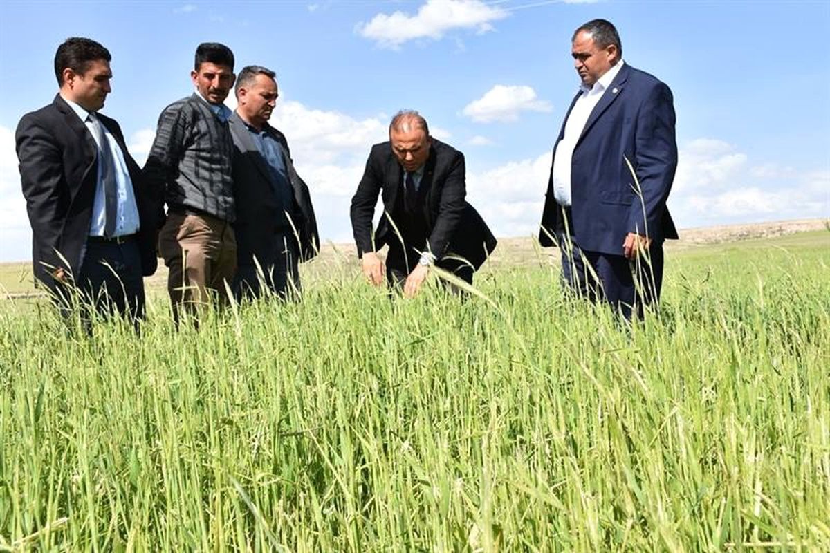 Aksaray\'da Tarım Arazilerinde Zarar Tespiti Yapıldı