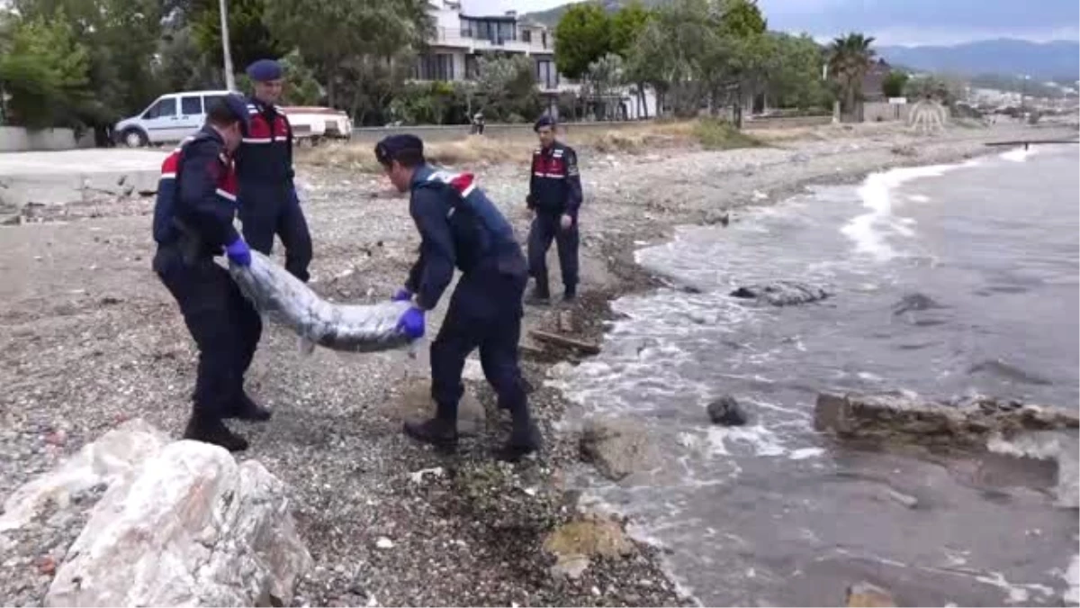 Batan Teknedeki 140 Kilogram Uyuşturucu Sahile Vurdu