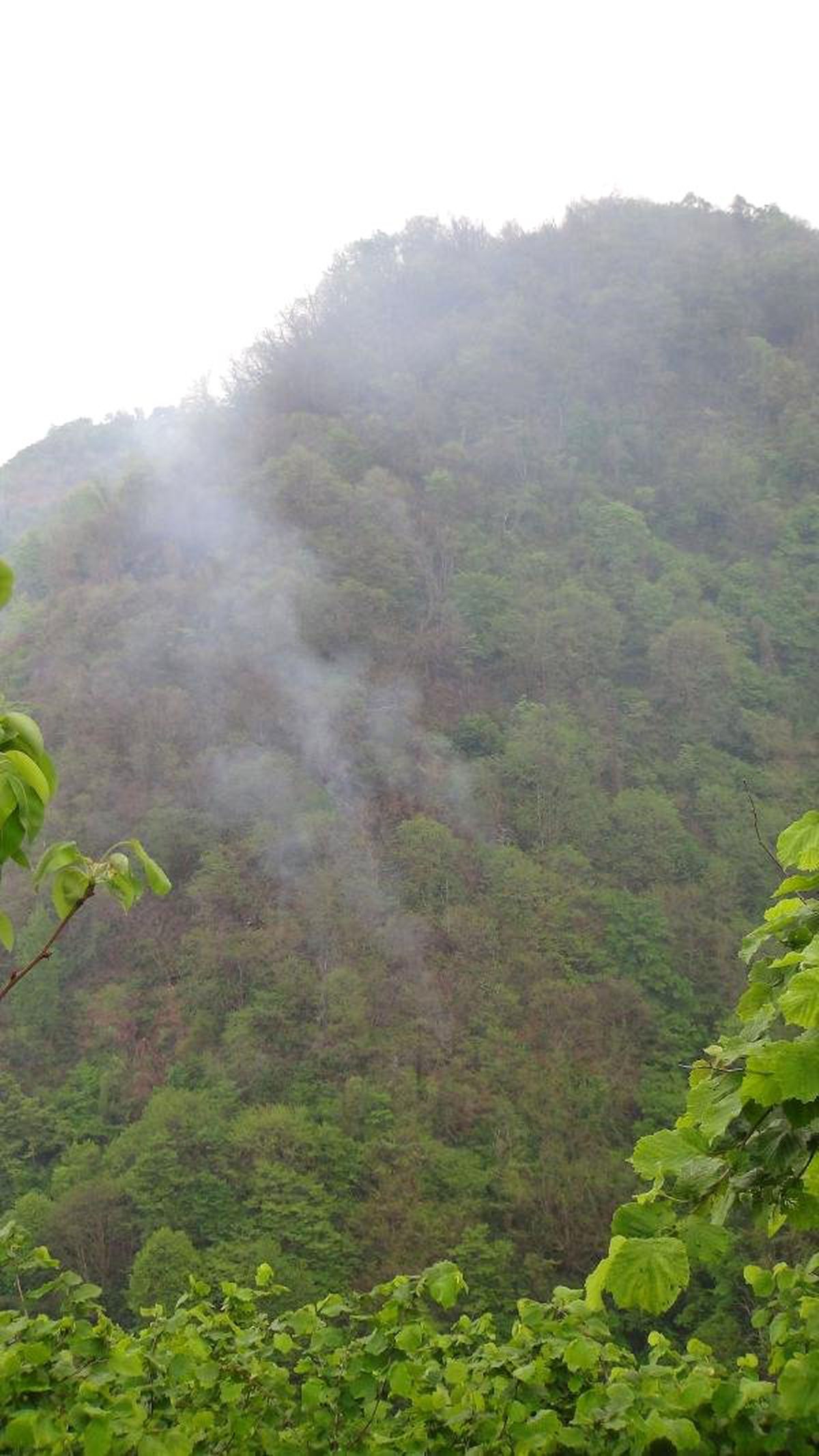 Giresun\'daki Orman Yangını, 15,5 Saat Sonra Kendiliğinden Söndü