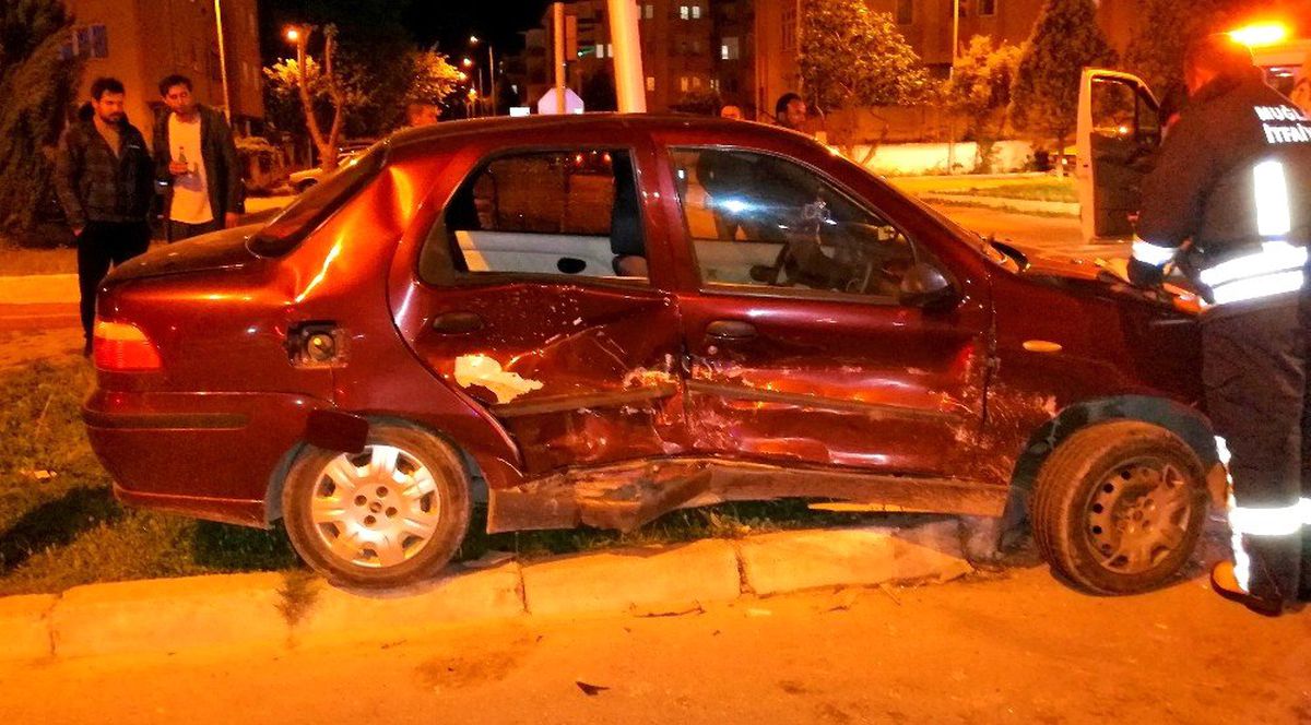 Trafik Levhasına Çarparak Durabildi