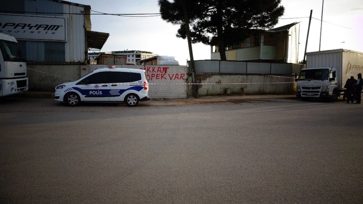 Tuzla\'da Tır Şoförünün Feci Ölümü