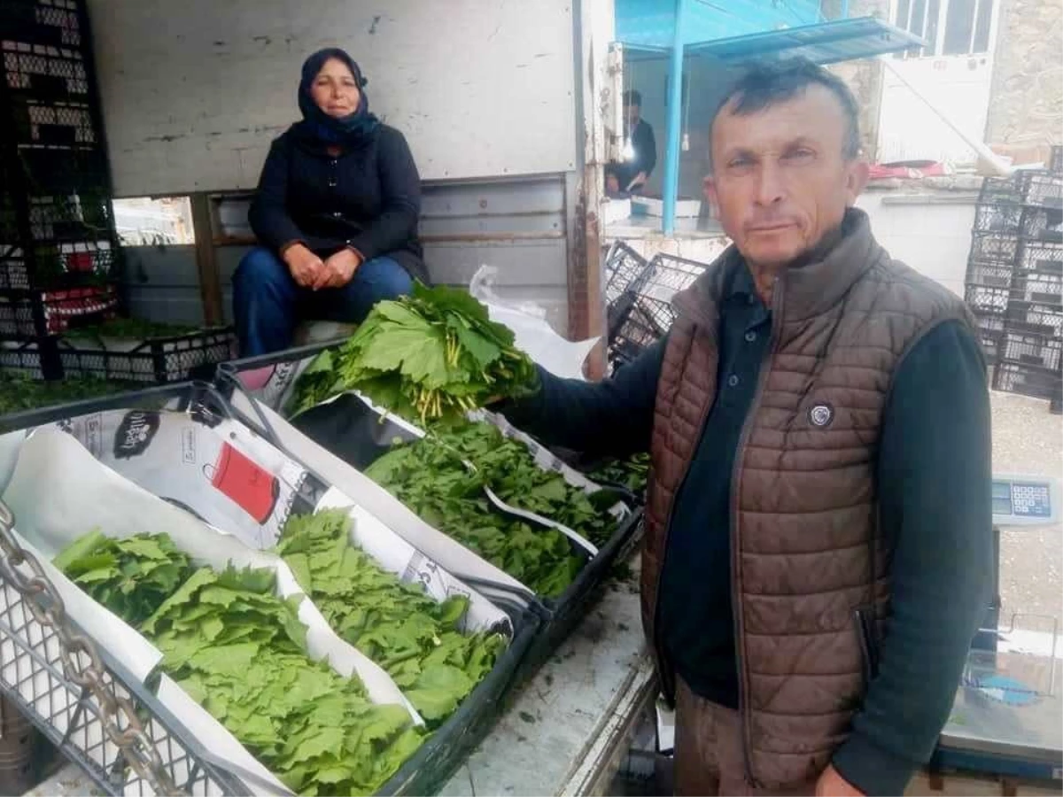 Asma Yaprağının Fiyatı İkiye Katlandı