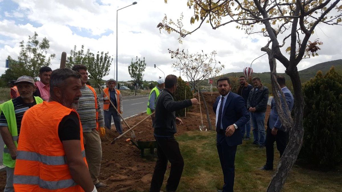 Belediye Başkanı Arı, Çalışma Alanlarında İncelemelerde Bulundu