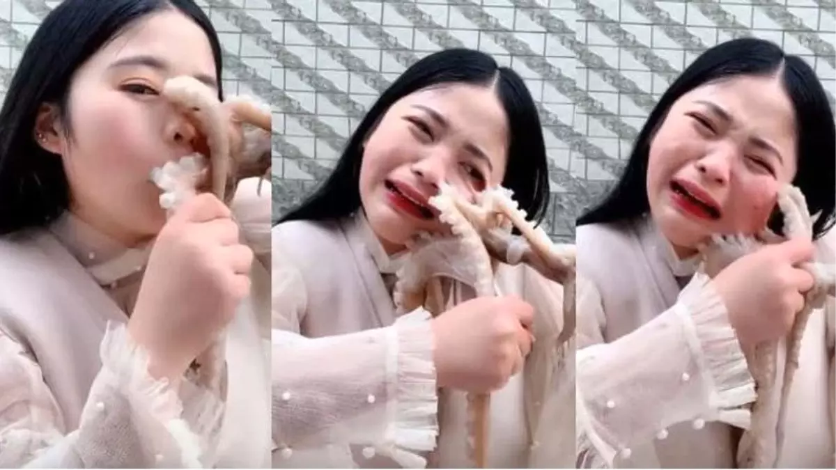 Bir Kadının Canlı Yayında Yemek İstediği Ahtapot, Yüzüne Böyle Yapıştı (Video)