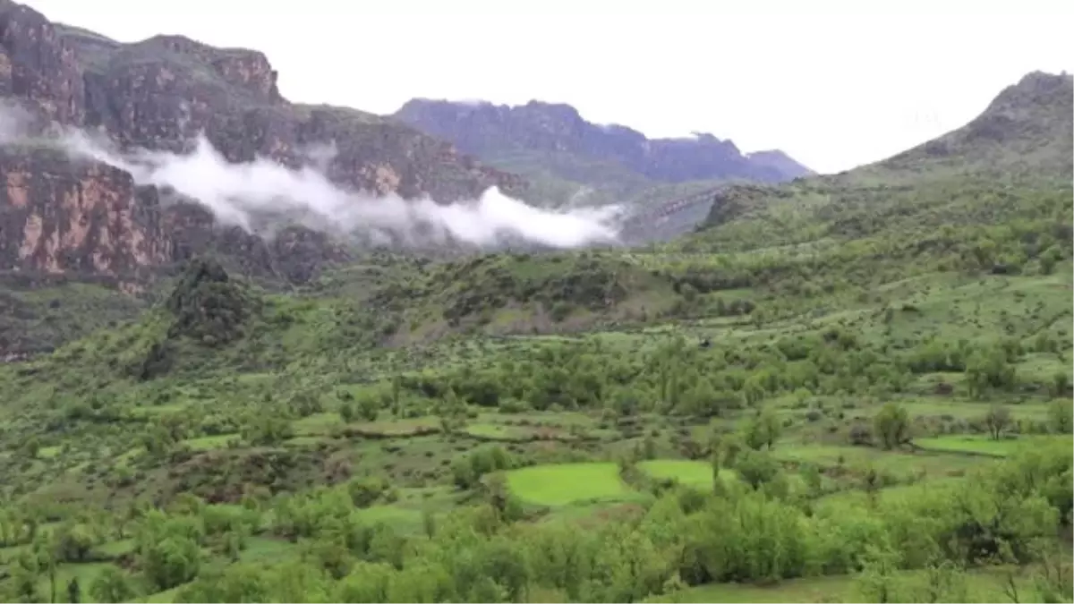 Çukurcalı Çiftçiler "Zap" ile Tanınacak - Hakkari