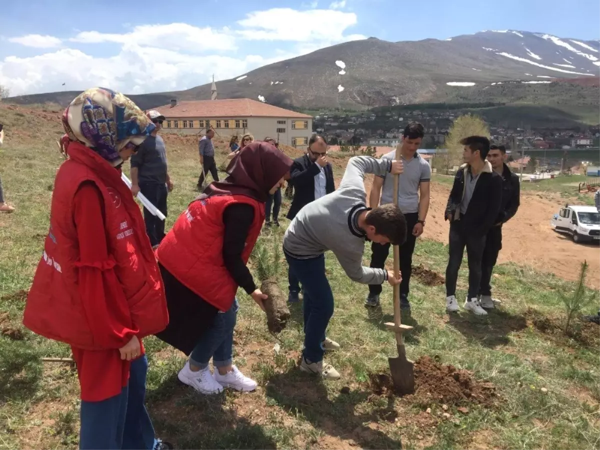 Genç Gönüllüler Şehitler Anısına Fidan Dikti