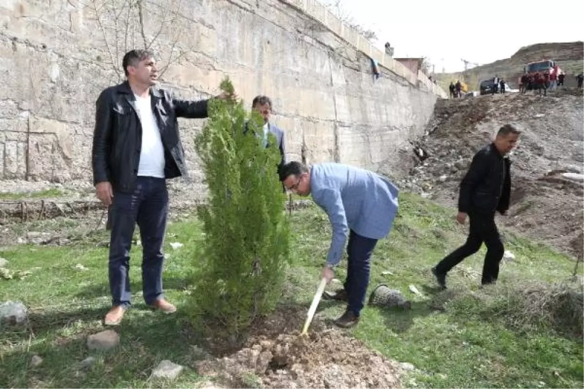 Hakkari\'de Hükümlüler Fidan Dikti