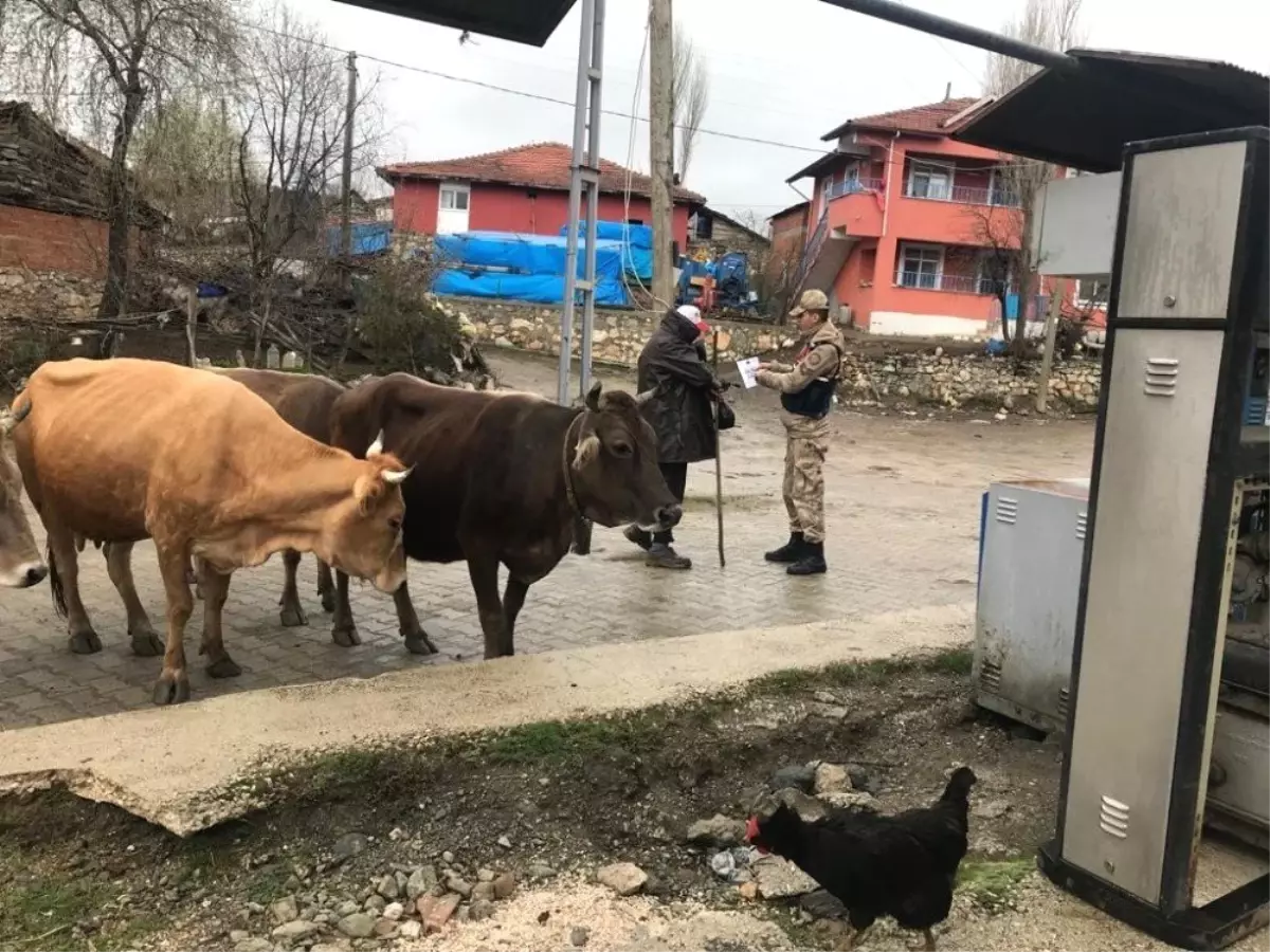 Hırsızlık ve Dolandırıcılığa Karşı Ahır ve Meraları Gezdiler