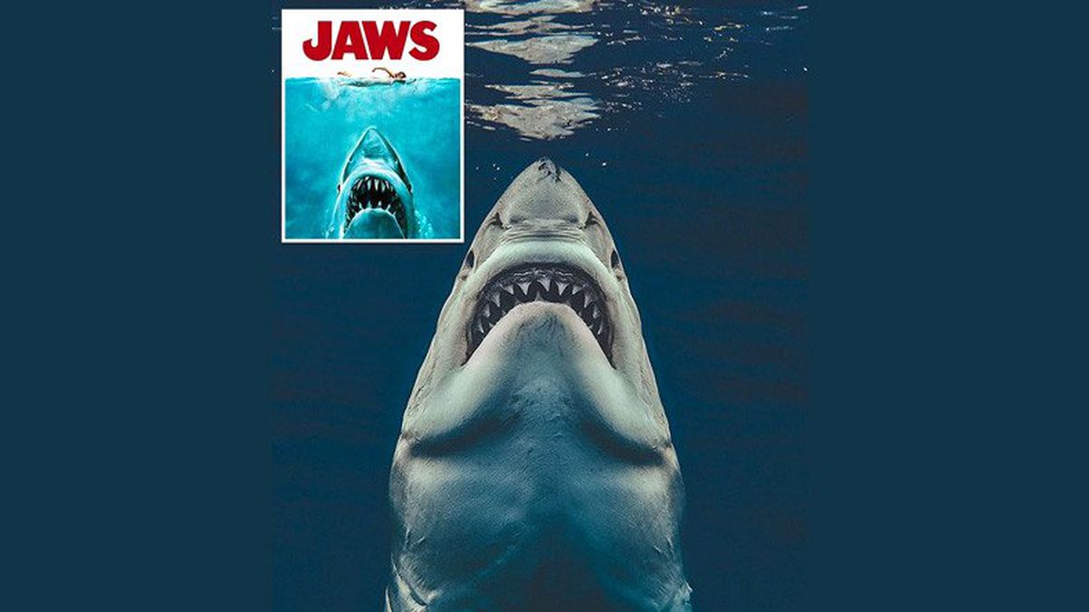 Jaws Filminin Posterini Gerçeğe Dönüştüren Ürkütücü Köpekbalığı Fotoğrafı