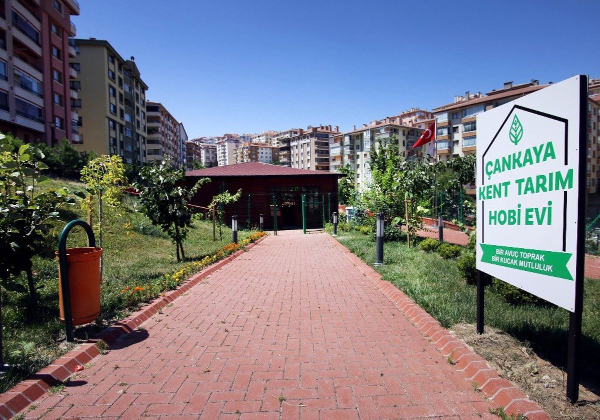 Kent Tarım\'da Ücretsiz Sebze Yetiştiriciliği Eğitimi