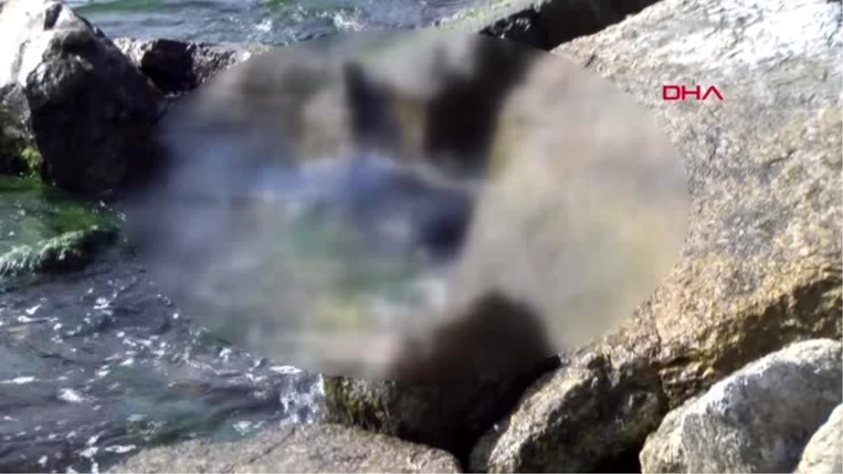 Üsküdar\'da Sahilde Kayaların Arasına Sıkışmış Bir Erkek Cesedi Bulundu