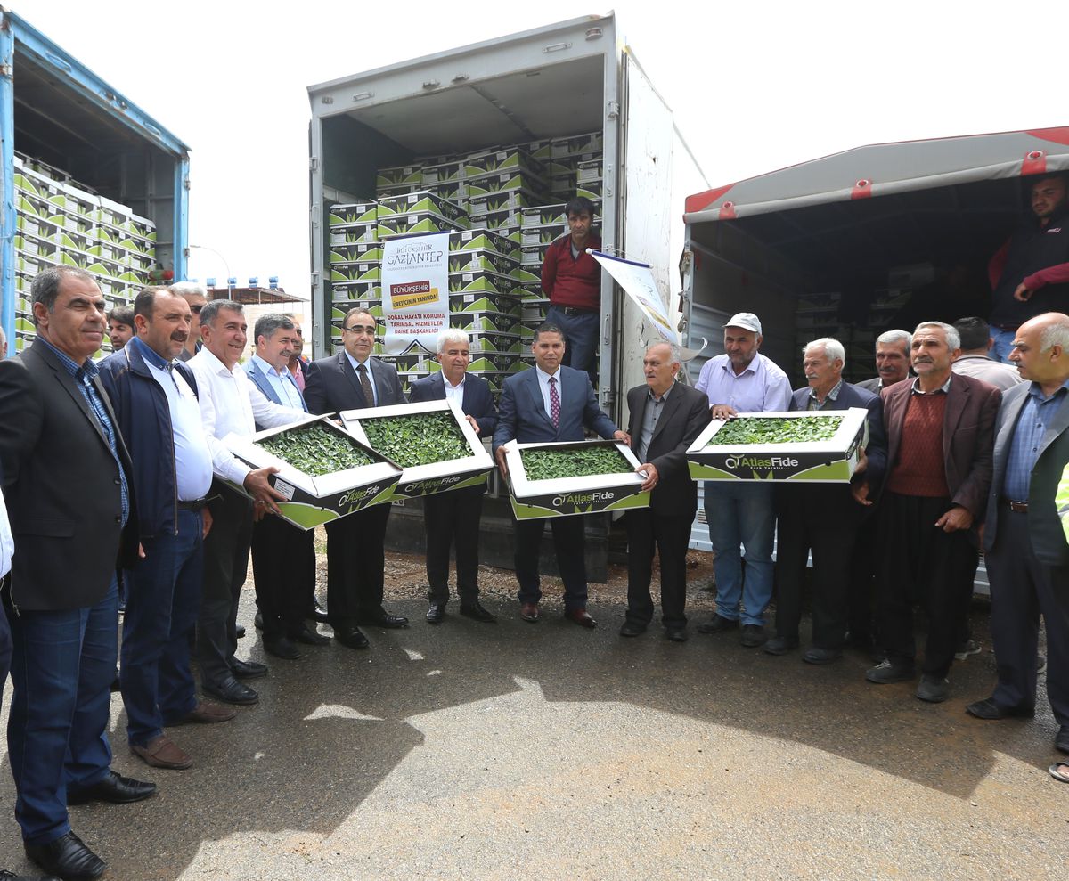 Büyükşehir\'den, Üreticiye Destek