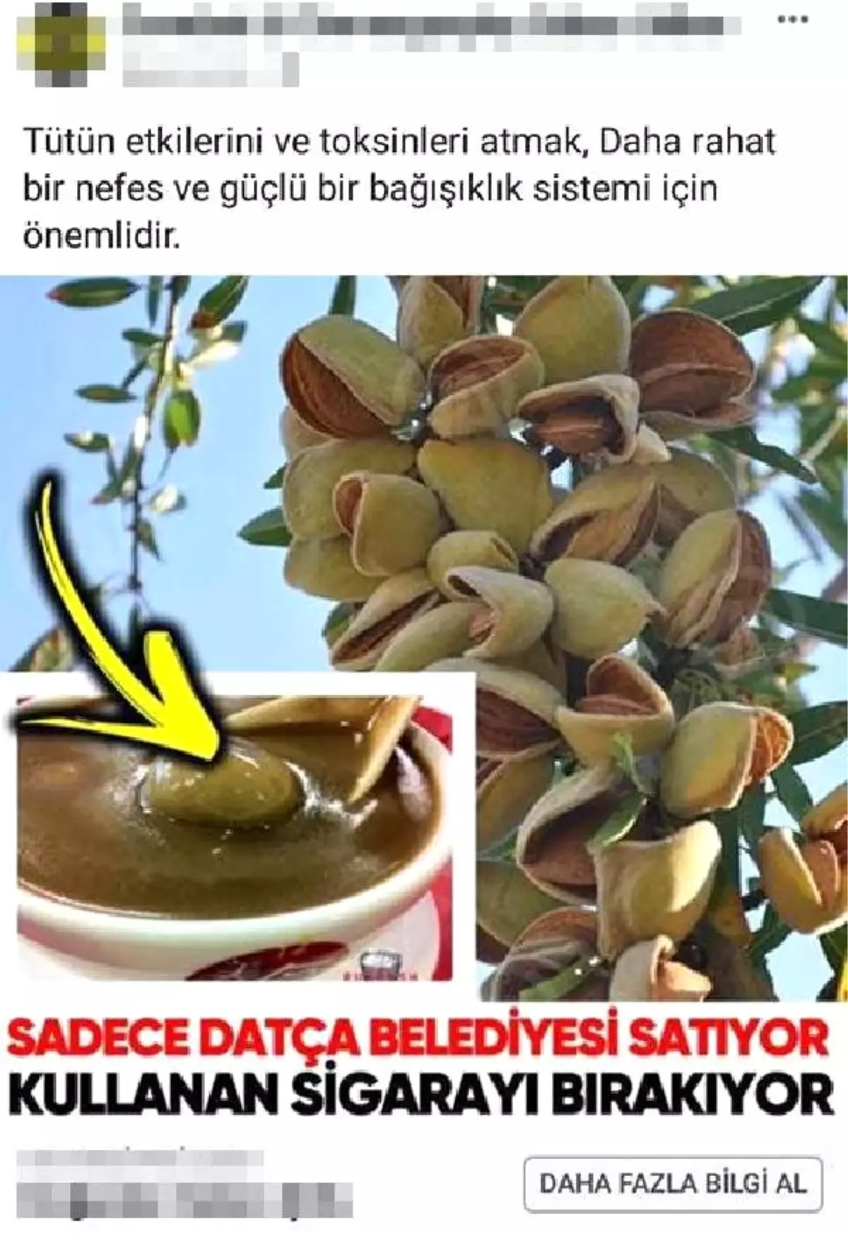 Datça Belediyesi\'nden \'Acı Badem Macunu\' Uyarısı