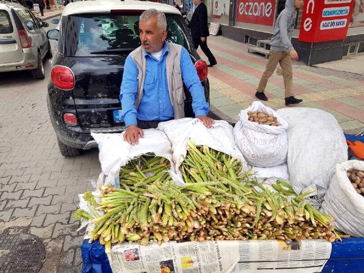 Işgın Bitkisi Köylülerin Geçim Kaynağı