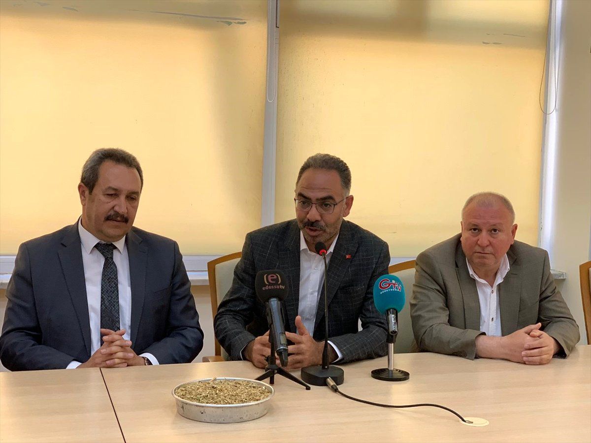 Şanlıurfa\'da Sezonun İlk Arpa Hasadı Yapıldı