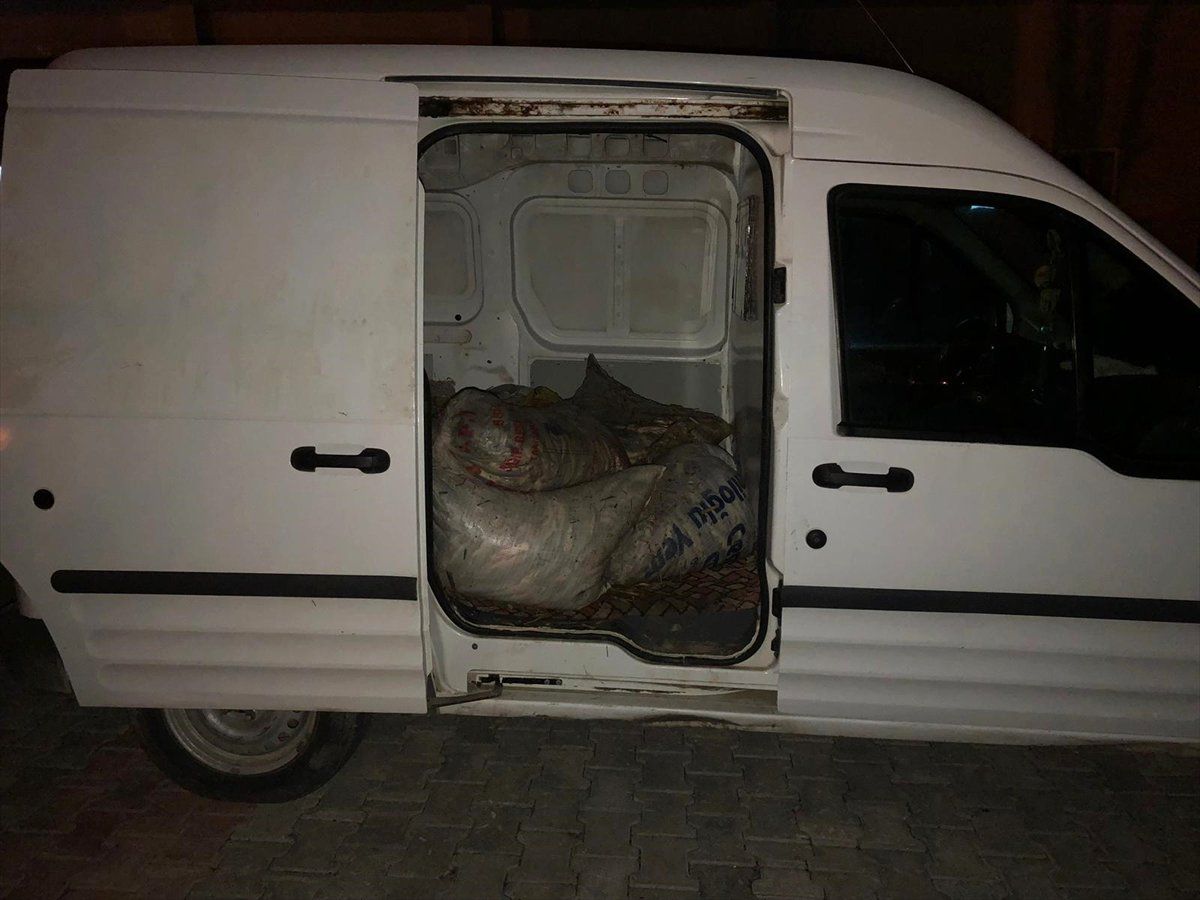 Van\'da Kaçak Avlanılan İnci Kefalleri Ele Geçirildi