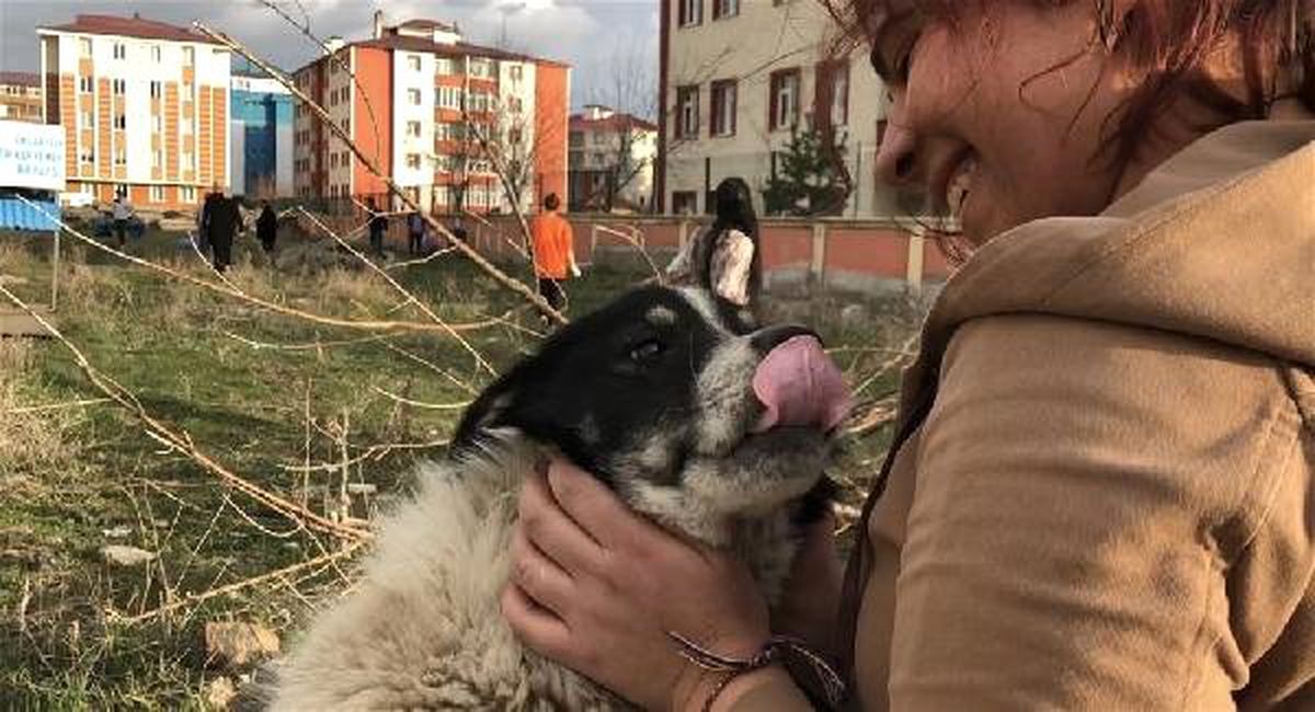 Bir Haftadır Göremediği Sokak Köpeğiyla Buluşma Anı Duygulandırdı