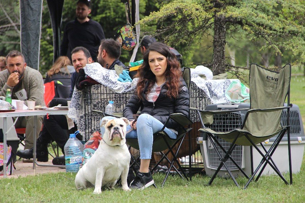 Köpek Irkları Eskişehir\'de Yarıştı