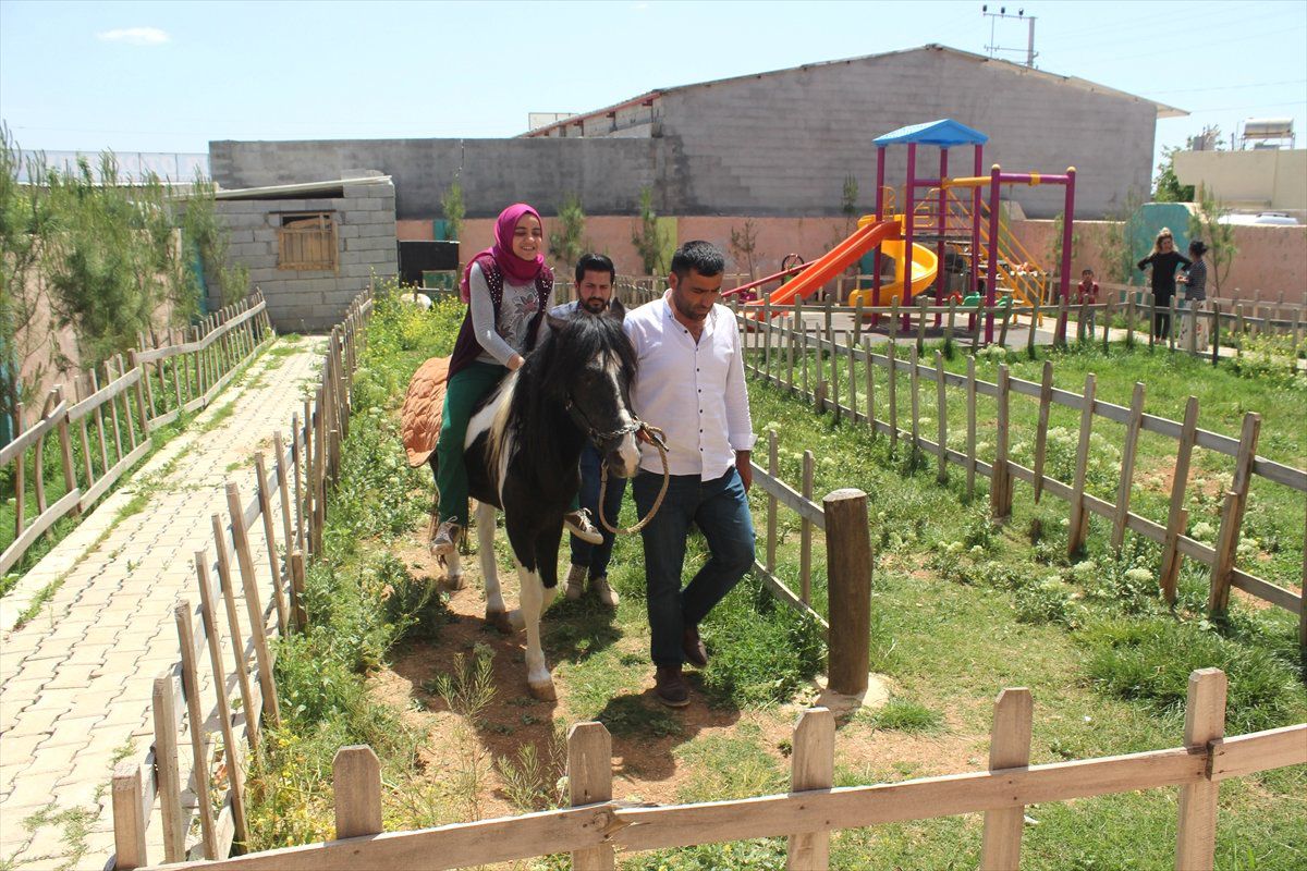 Safkan" Diyarında Engelliler Atlarla Terapi Oluyor