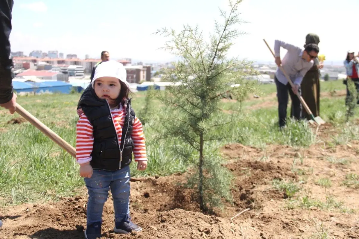 Avrupa Günü" Etkinlikleri Kapsamında Fidan Dikildi