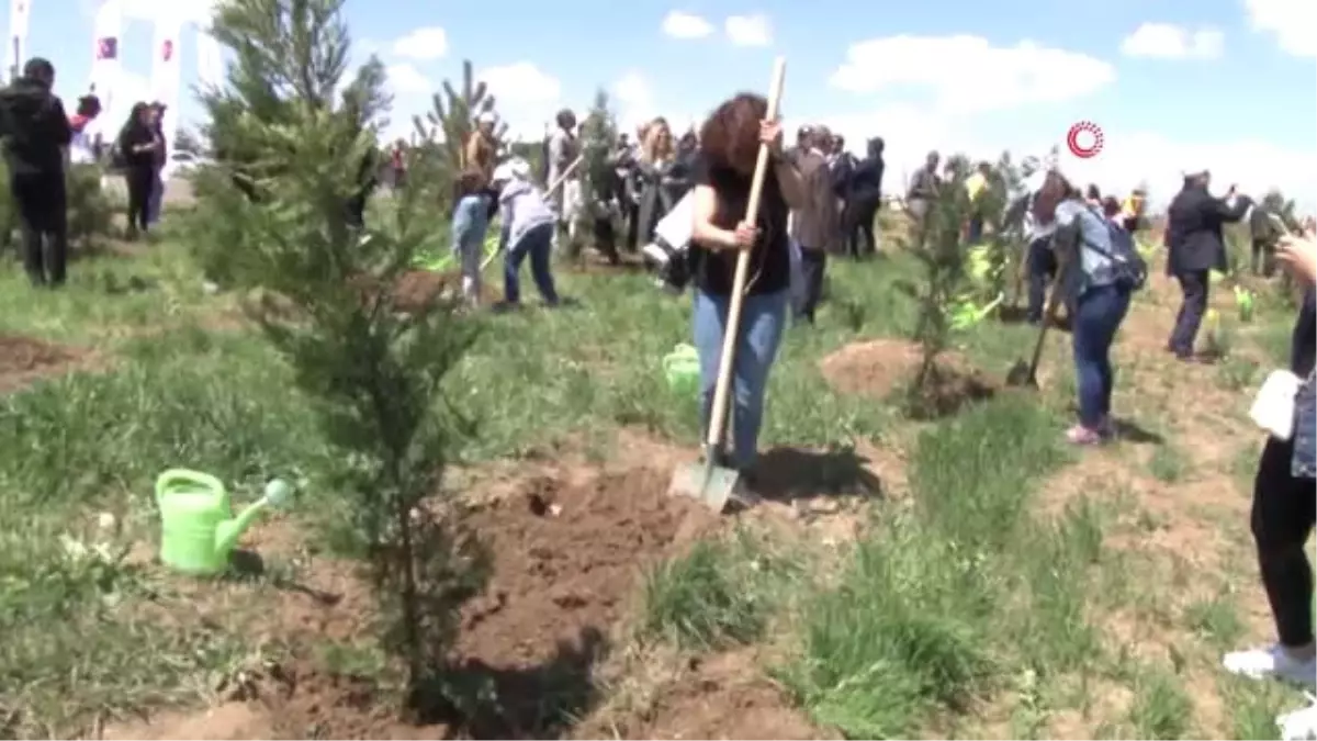 Avrupa Günü" Etkinlikleri Kapsamında Fidan Dikildi